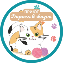 дорога-в-жизнь.нв-п.ру